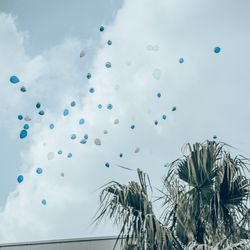 ザ・ミーツ マリーナテラスの写真31枚目