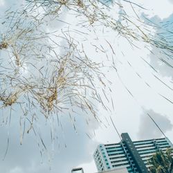 ザ・ミーツ マリーナテラスの写真2枚目