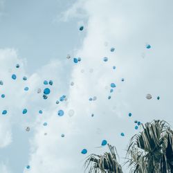 ザ・ミーツ マリーナテラスの写真30枚目