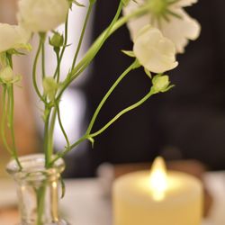 ラソールガーデン大阪の写真4枚目