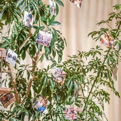 アーブルオランジュの写真8枚目