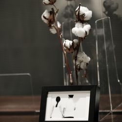 セントジェームスクラブ迎賓館仙台の写真24枚目