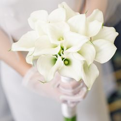 セントジェームスクラブ迎賓館仙台の写真24枚目