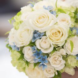 アートグレイス ウエディングコースト 東京ベイの写真12枚目