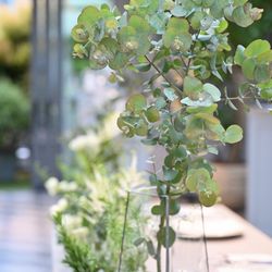 TRUNK HOTELの写真3枚目