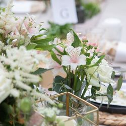 泊まれる公園 INN THE PARKの写真18枚目