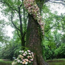 泊まれる公園 INN THE PARKの写真12枚目