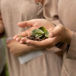 泊まれる公園 INN THE PARKの写真3枚目