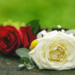 星野リゾート 軽井沢ホテルブレストンコートの写真36枚目