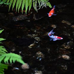 ホテル雅叙園東京の写真13枚目