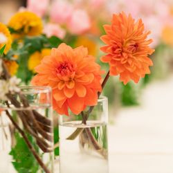 ホテル雅叙園東京の写真6枚目