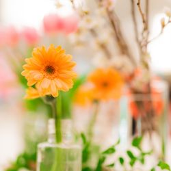 ホテル雅叙園東京の写真18枚目