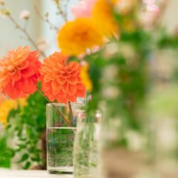 ホテル雅叙園東京の写真26枚目