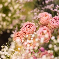 少人数専門のゲストハウス フェインの写真8枚目