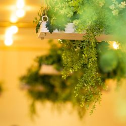 迎賓館の写真15枚目