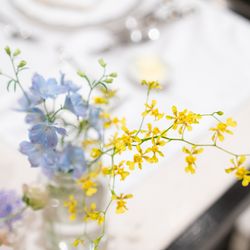 ニーズ青山 by T&G WEDDING の写真10枚目