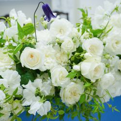 アーヴェリール迎賓館 名古屋の写真24枚目