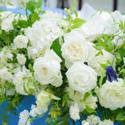 アーヴェリール迎賓館 名古屋の写真14枚目