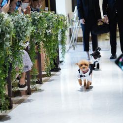 アーヴェリール迎賓館 名古屋の写真33枚目