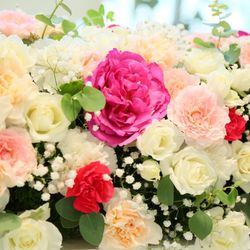 ララシャンス 博多の森の写真9枚目