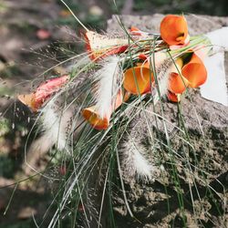 古我邸の写真1枚目
