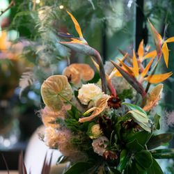 ザ・ガーデンオリエンタル大阪の写真25枚目