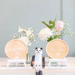 ルーキスの写真9枚目