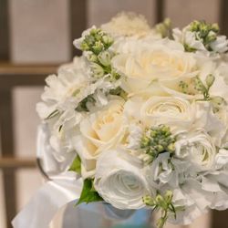 ルーキスの写真1枚目