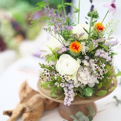 フェリーチェガーデン日比谷の写真1枚目