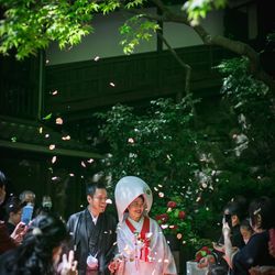 明治の森箕面 音羽山荘の写真11枚目