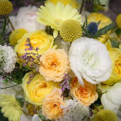 ラソールガーデン名古屋の写真27枚目