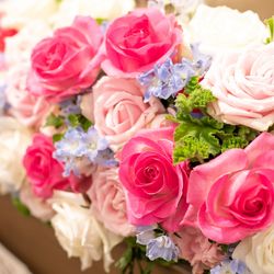 ザ リュクス 銀座の写真28枚目