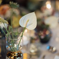 オリエンタルホテル 神戸・旧居留地の写真20枚目