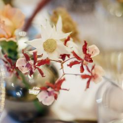 オリエンタルホテル 神戸・旧居留地の写真6枚目