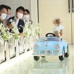 ニーズ青山 by T&G WEDDING の写真2枚目