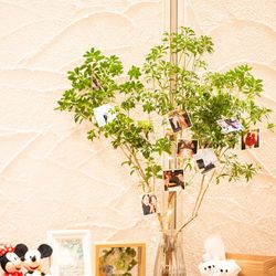 ザ・ルイガンズ スパ&リゾートの写真8枚目