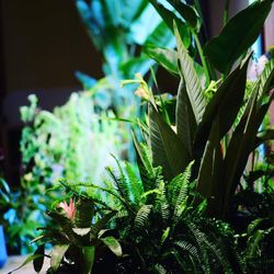 パレスホテル東京の写真34枚目