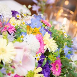 ザ・ロイヤルクラシック姫路の写真4枚目