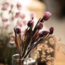 ザ・ガーデンオリエンタル大阪の写真36枚目