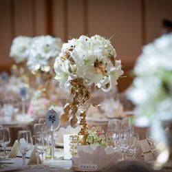 帝国ホテル 東京の写真4枚目