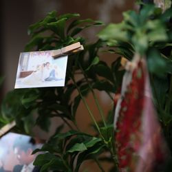 百花籠の写真22枚目