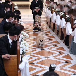 百花籠の写真7枚目
