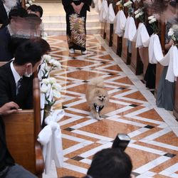 百花籠の写真18枚目