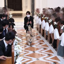 百花籠の写真19枚目