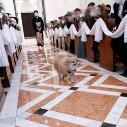 百花籠の写真35枚目