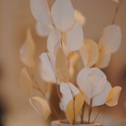 TRUNK HOTELの写真17枚目