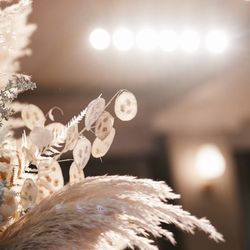 TOASTの写真1枚目