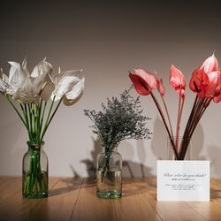 TOASTの写真14枚目