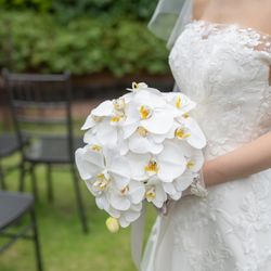 パラッツォ ドゥカーレ 麻布の写真33枚目