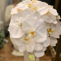 パラッツォ ドゥカーレ 麻布の写真36枚目